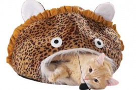 bed for cats