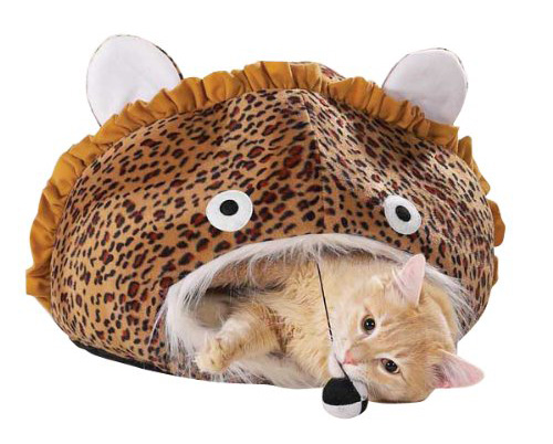 Arrange For Special Soft Bed For Cats To Ensure Best Care