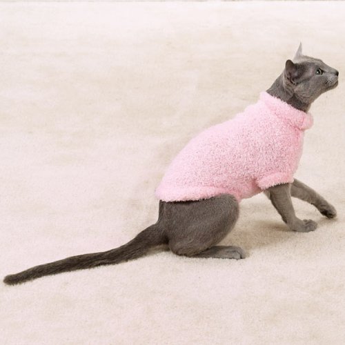 cat sweater