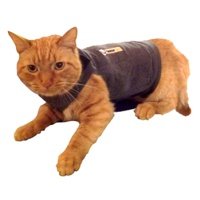 clothes for a sphynx cat