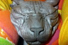 hairless cat breed