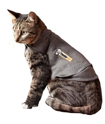 sphynx clothes